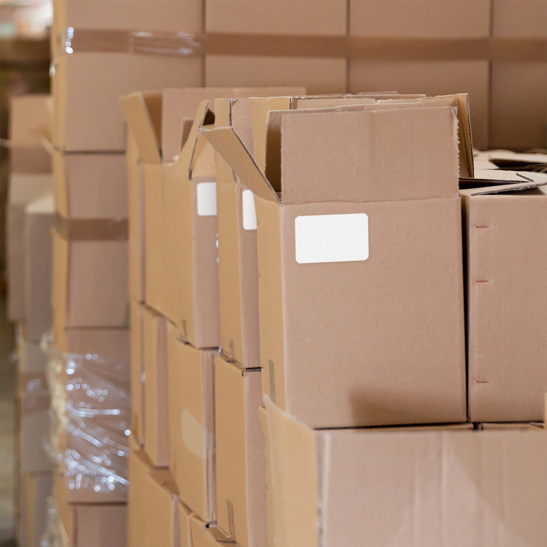 Logistiek en transport