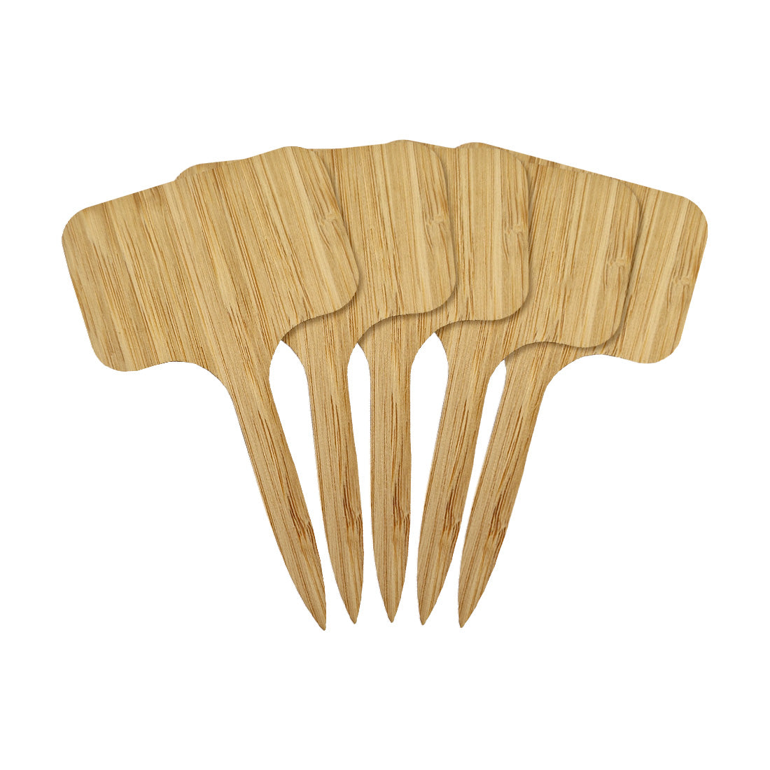 Étiquettes à piquer 60x100mm Bambou, Bambou